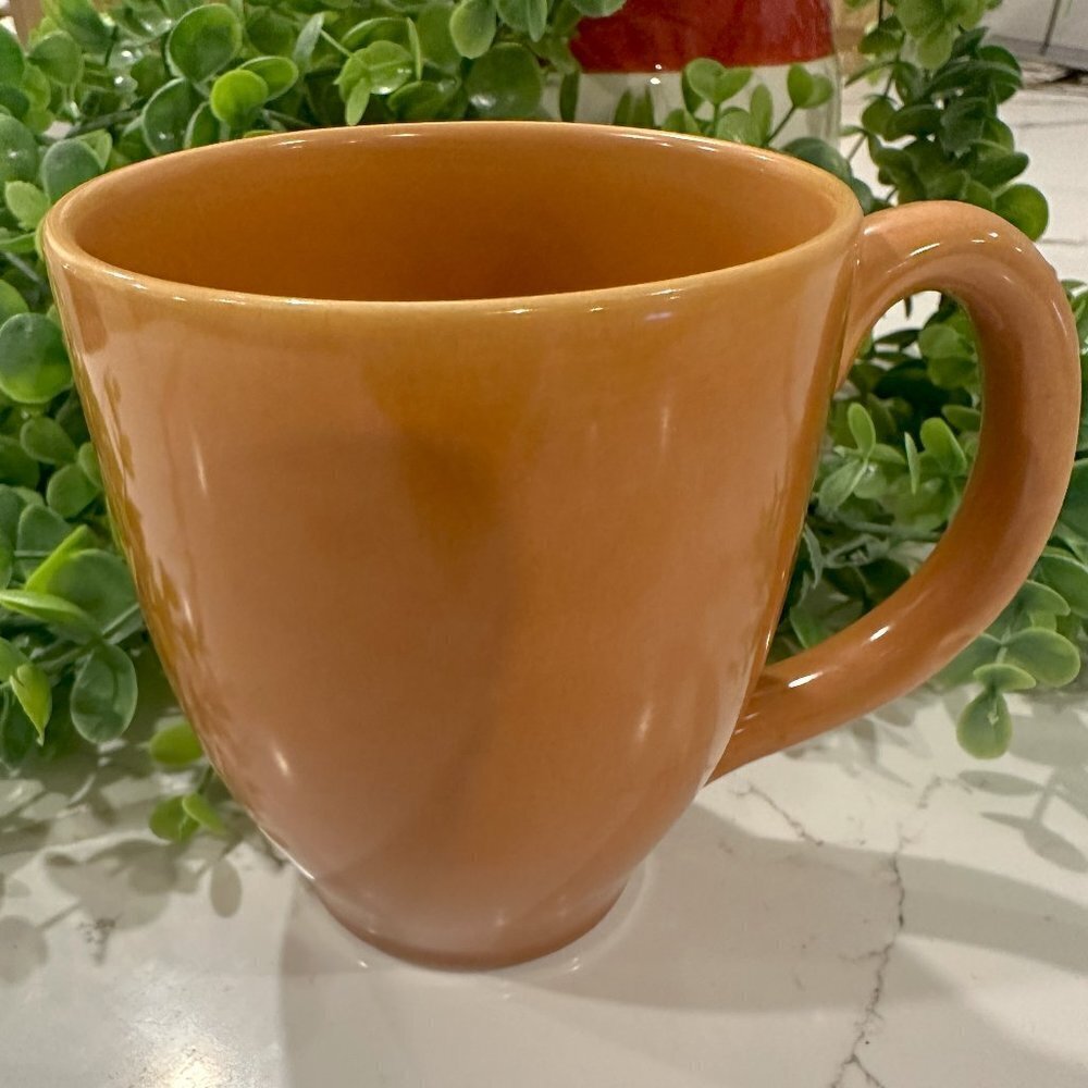 Pier  1 Ironstone Bohemian Solid Clay Color Coffee Mug Tea (1)